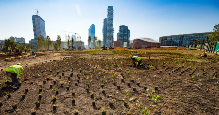 Progettare il verde