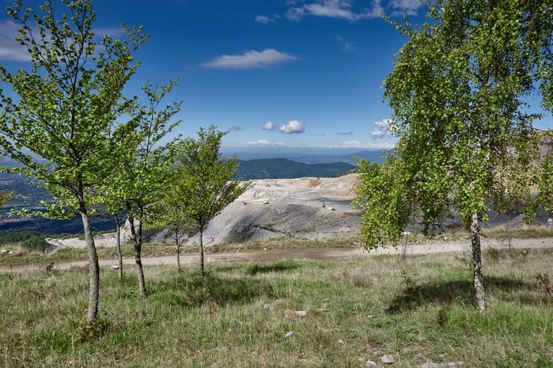 Linzone Trail: una gara nel cuore della biodiversità tra natura e sport. Scopri come Heidelberg Materials supporta territorio e comunità locali-5