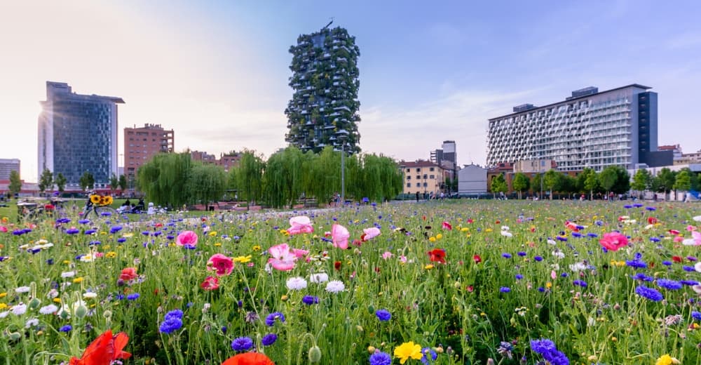 Le pavimentazioni drenanti possono ridurre il surriscaldamento urbano e migliorare la resilienza delle città ai cambiamenti climatici-4