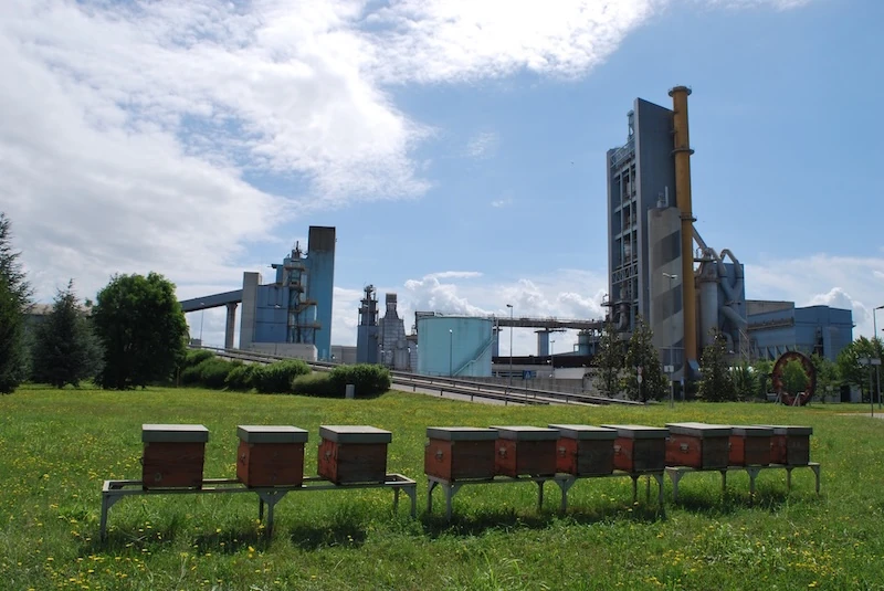 Come riportare la biodiversità nelle città? Niccolò Calandri, CEO di 3Bee, racconta il ruolo di impollinatori, verde urbano e tecnologia-3