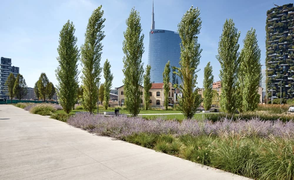 Esplora l'equilibrio tra natura e innovazione tecnologica nell'architettura per un futuro sostenibile-1