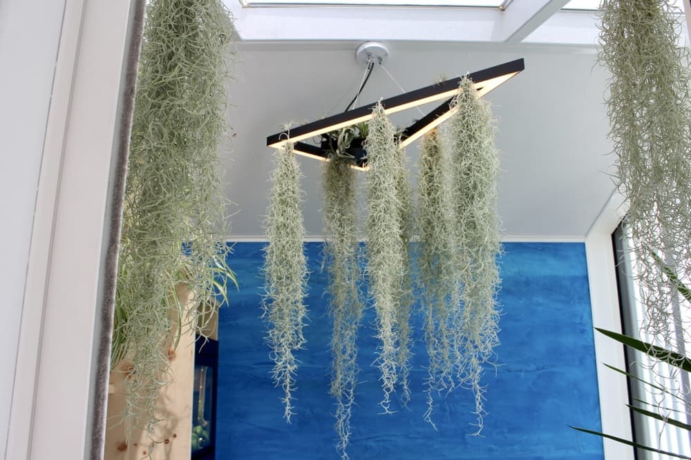Esplora l'equilibrio tra natura e innovazione tecnologica nell'architettura per un futuro sostenibile-5